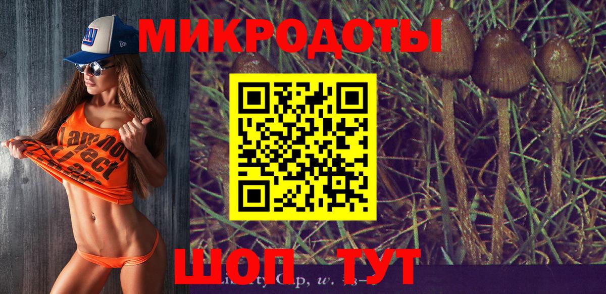 Псилоцибиновые грибы мицелий  Вход с VPN  Феодосия  Псилоцибиновые грибы GOLDEN TEACHER 