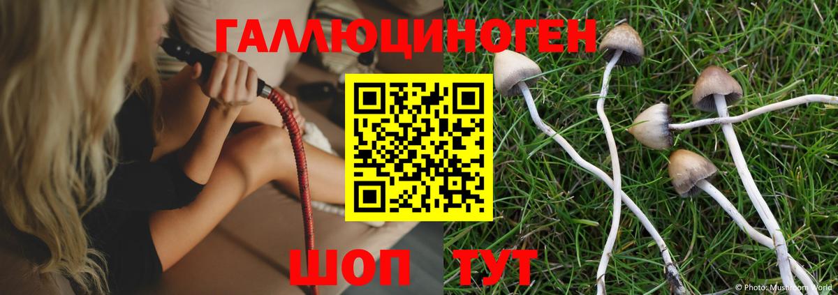 Псилоцибиновые грибы Psilocybine cubensis Феодосия